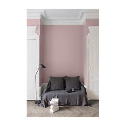 Velours de peinture - Rose bagatelle - Mat - 05L