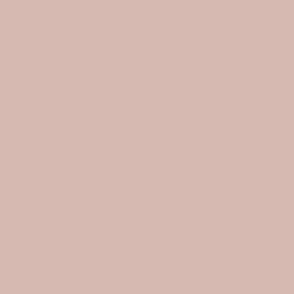 Velours de peinture - Rose bagatelle - Mat - 05L