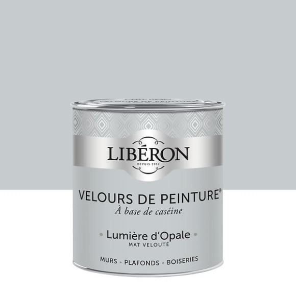 Velours de peinture - Lumière d'opale - Mat - 05L