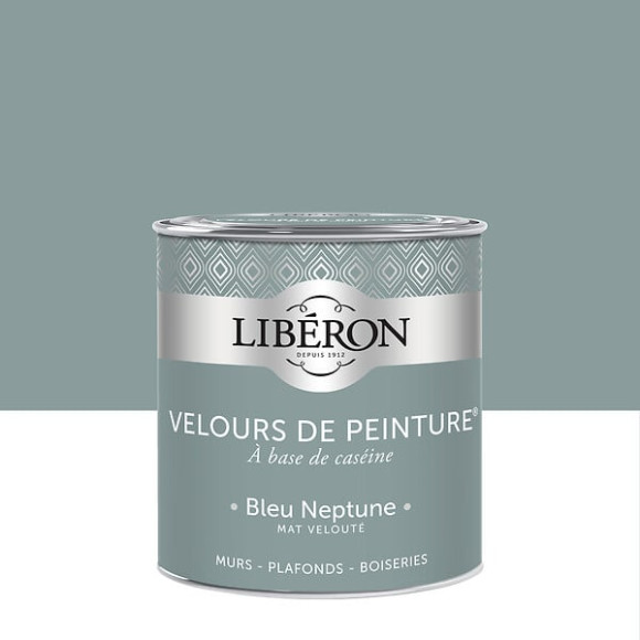 Velours de peinture - Bleu neptune - Mat - 05L