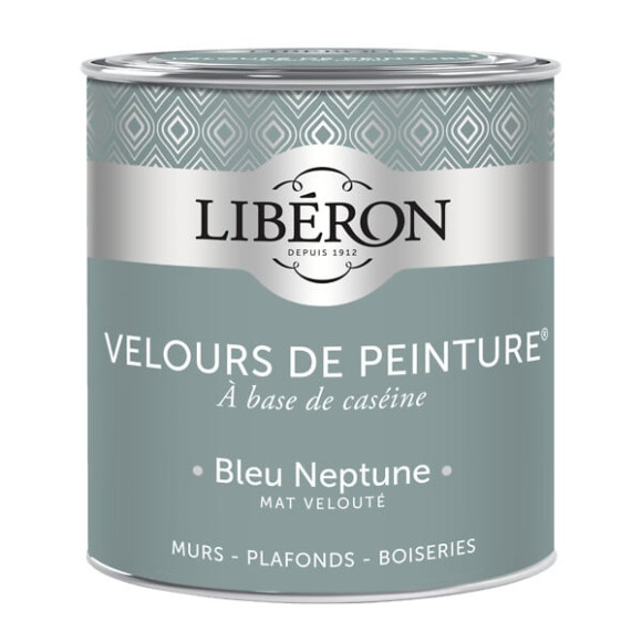 Velours de peinture - Bleu neptune - Mat - 05L