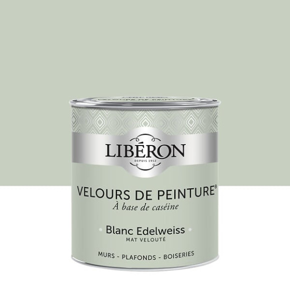 Velours de peinture - Blanc edelweis - Mat - 05L