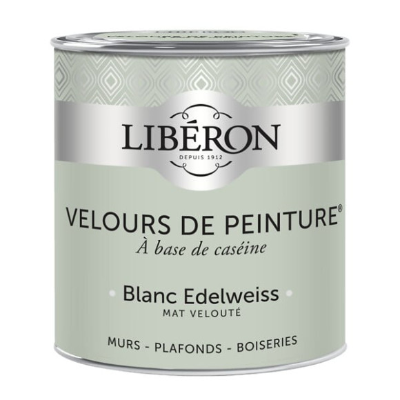 Velours de peinture - Blanc edelweis - Mat - 05L