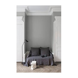 Velours de peinture - Gris temps de pluie - Mat - 05L