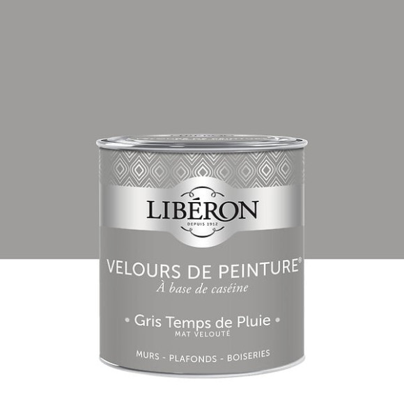 Velours de peinture - Gris temps de pluie - Mat - 05L