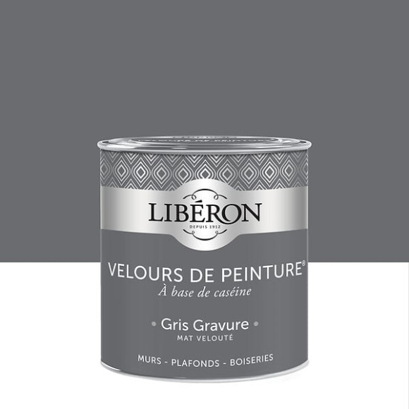 Velours de peinture - Gris gravure - Mat - 05L