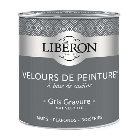 Velours de peinture - Gris gravure - Mat - 05L