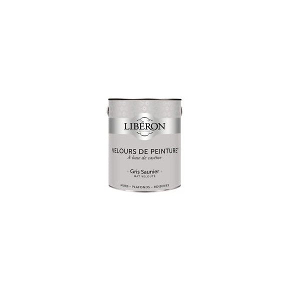 Velours de peinture - Gris saunier - Mat - 25L