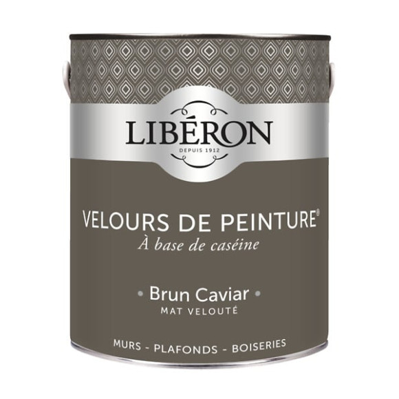 Velours de peinture - Brun caviar - Mat - 25L