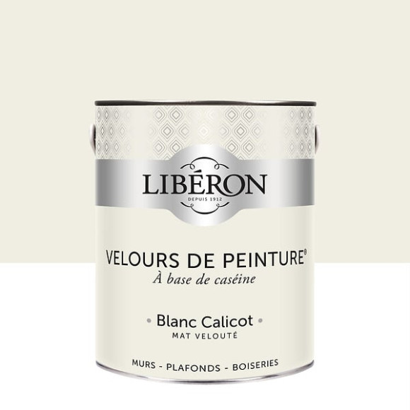 Velours de peinture - Blanc calicot - Mat - 25L