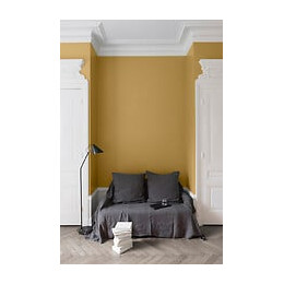 Velours de peinture - Jaune calisson - Mat - 25L