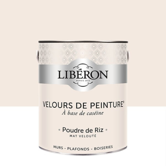 Velours de peinture - Poudre de riz - Mat - 25L