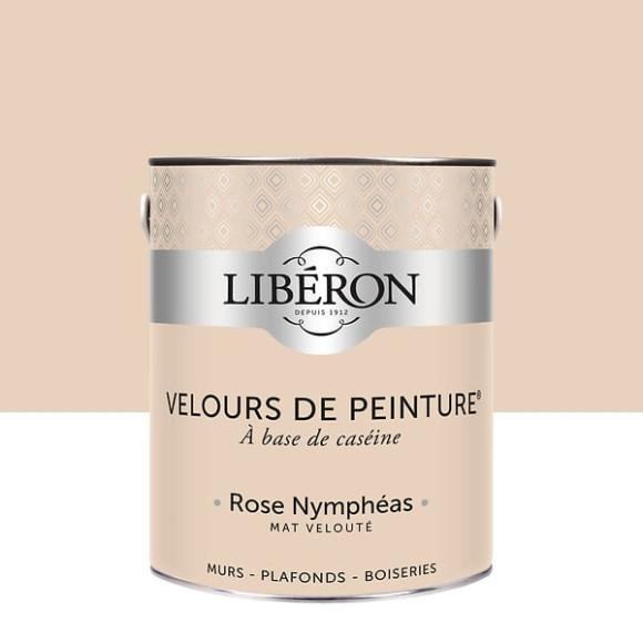 Velours de peinture - Rose nympheas - Mat - 25L