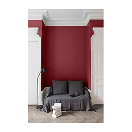 Velours de peinture - Rouge odeon - Mat - 25L