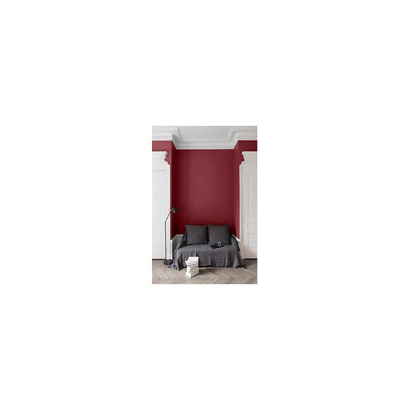 Velours de peinture - Rouge odeon - Mat - 25L