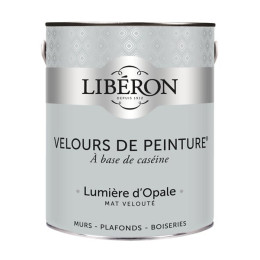 Velours de peinture - Lumiere d'opale - Mat - 25L