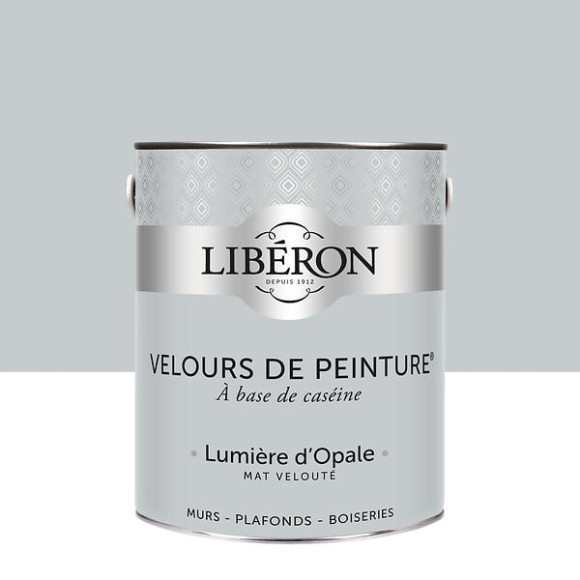 Velours de peinture - Lumiere d'opale - Mat - 25L