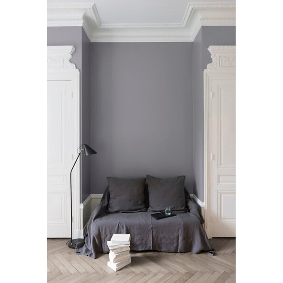 Velours de peinture - Gris gustave - Mat - 25L