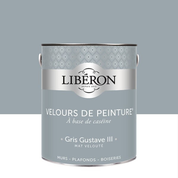 Velours de peinture - Gris gustave - Mat - 25L