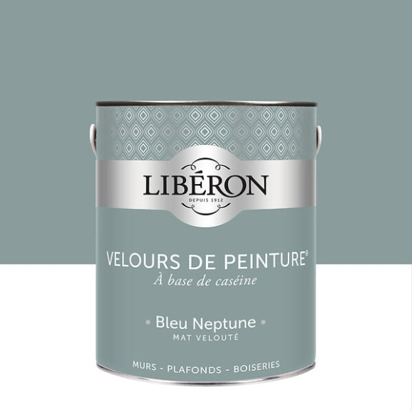 Velours de peinture - Bleu neptune - Mat - 25L