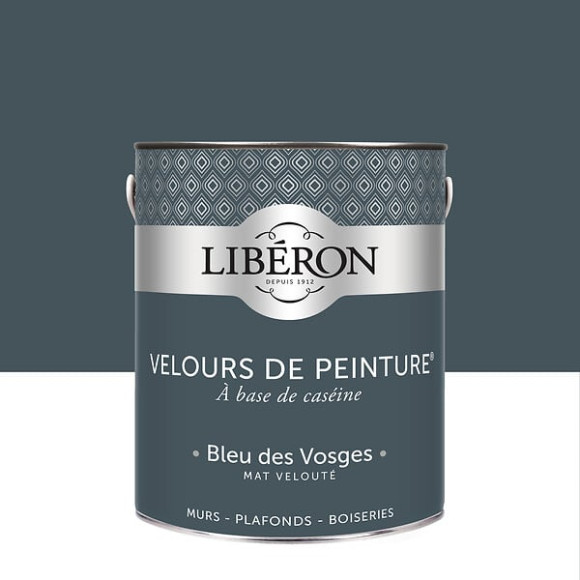 Velours de peinture - Bleu des Vosges - Mat - 25L