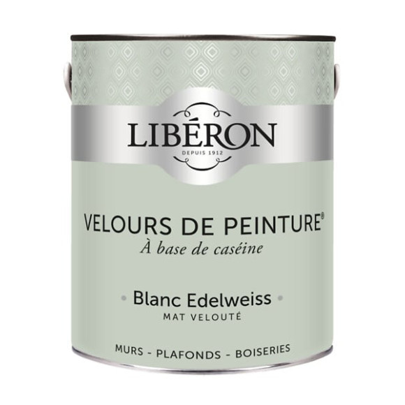 Velours de peinture - Blanc edelweiss - Mat - 25L