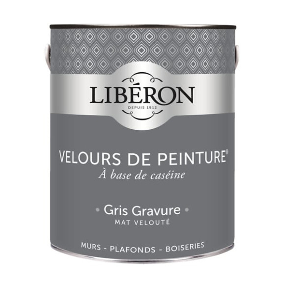 Velours de peinture - Gris gravure - Mat - 25L