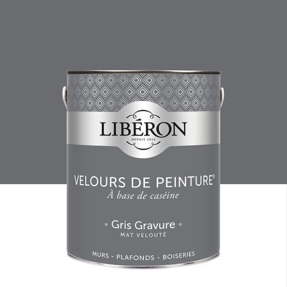 Velours de peinture - Gris gravure - Mat - 25L