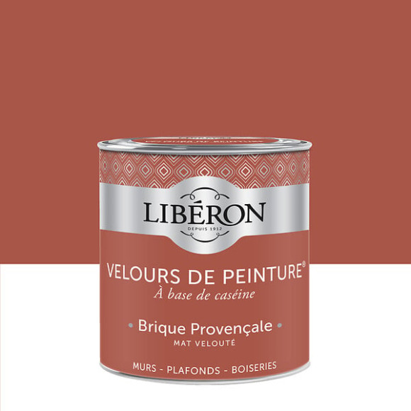 Velours de peinture - Brique provençale - Mat - 05L