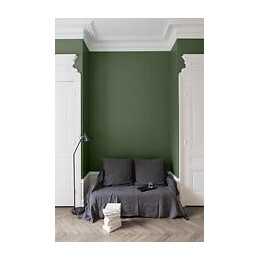 Velours de peinture - Vert treillis - Mat - 05L