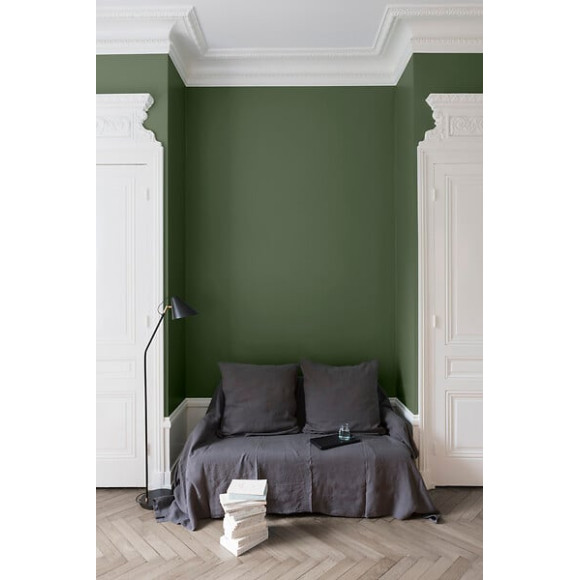 Velours de peinture - Vert treillis - Mat - 05L