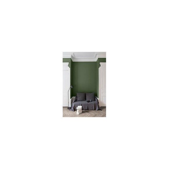 Velours de peinture - Vert Treillis - Mat - 25L