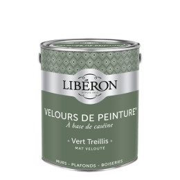 Velours de peinture - Vert Treillis - Mat - 25L