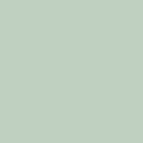 Velours de peinture - Celadon - Mat - 125ml