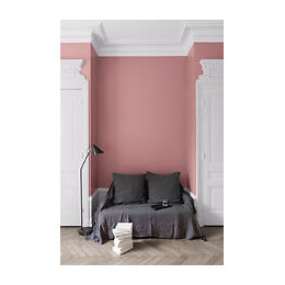 Velours de peinture - Rose de Mai - Mat - 05L