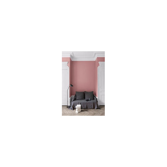 Velours de peinture - Rose de Mai - Mat - 05L