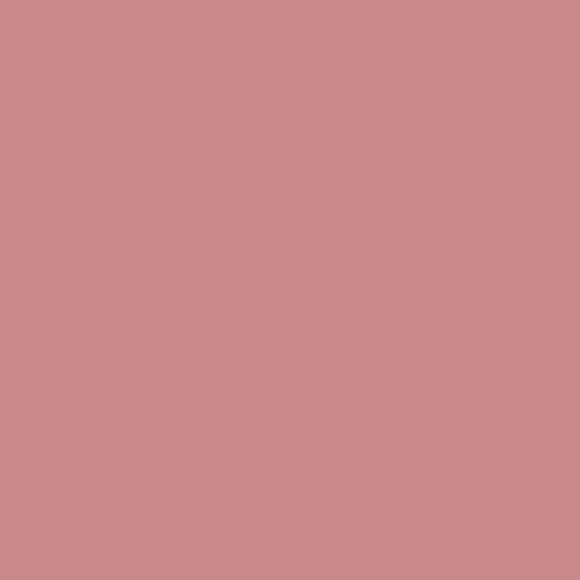 Velours de peinture - Rose de Mai - Mat - 05L