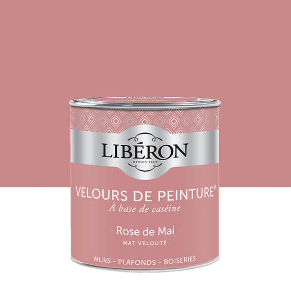 Velours de peinture - Rose de Mai - Mat - 05L