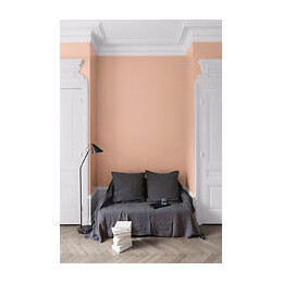 Velours de peinture - Grès rose - Mat - 05L