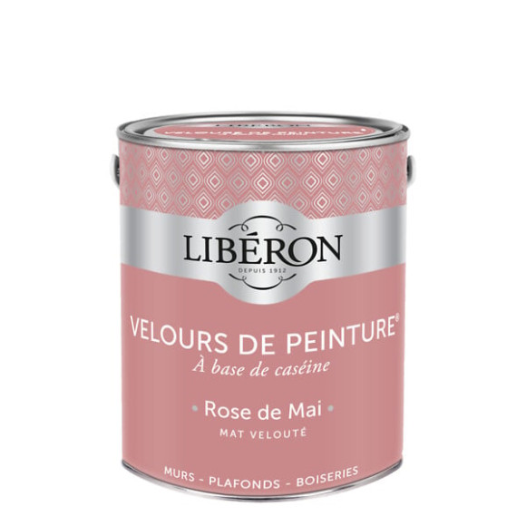 Velours de peinture - Rose de Mai - Mat - 25L