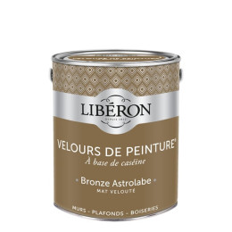 Velours de peinture - Bronze astrolabe - Mat - 25L