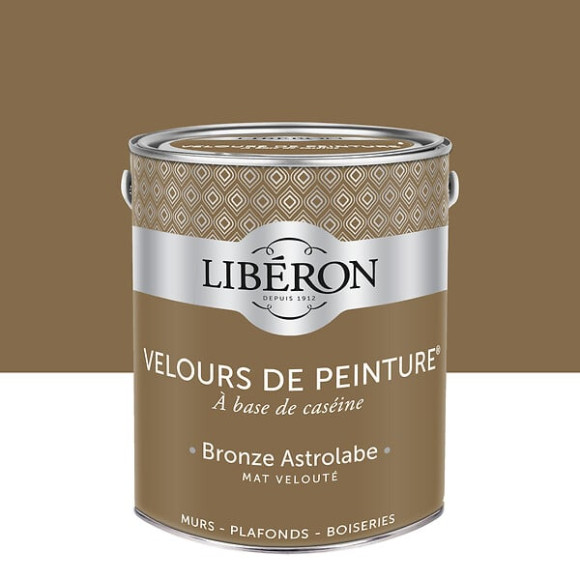 Velours de peinture - Bronze astrolabe - Mat - 25L