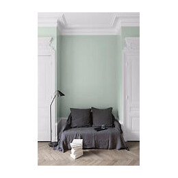 Velours de peinture - Celadon - Mat - 25L