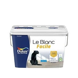 Peinture Le Blanc Facile Dulux Valentine Mat Blanc 5L