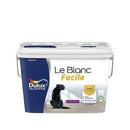 Peinture Le Blanc Facile Dulux Valentine Velours Blanc 5L