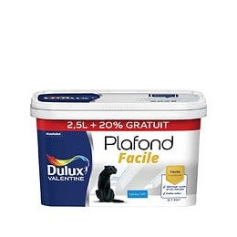 Peinture Plafond Facile - Blanc - Mat - 25L+20%