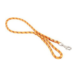 Laisse nylon corde 120m ora pour chien