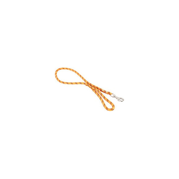 Laisse nylon corde 120m ora pour chien