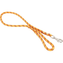 Laisse nylon corde 120m ora pour chien