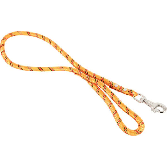 Laisse nylon corde 120m ora pour chien